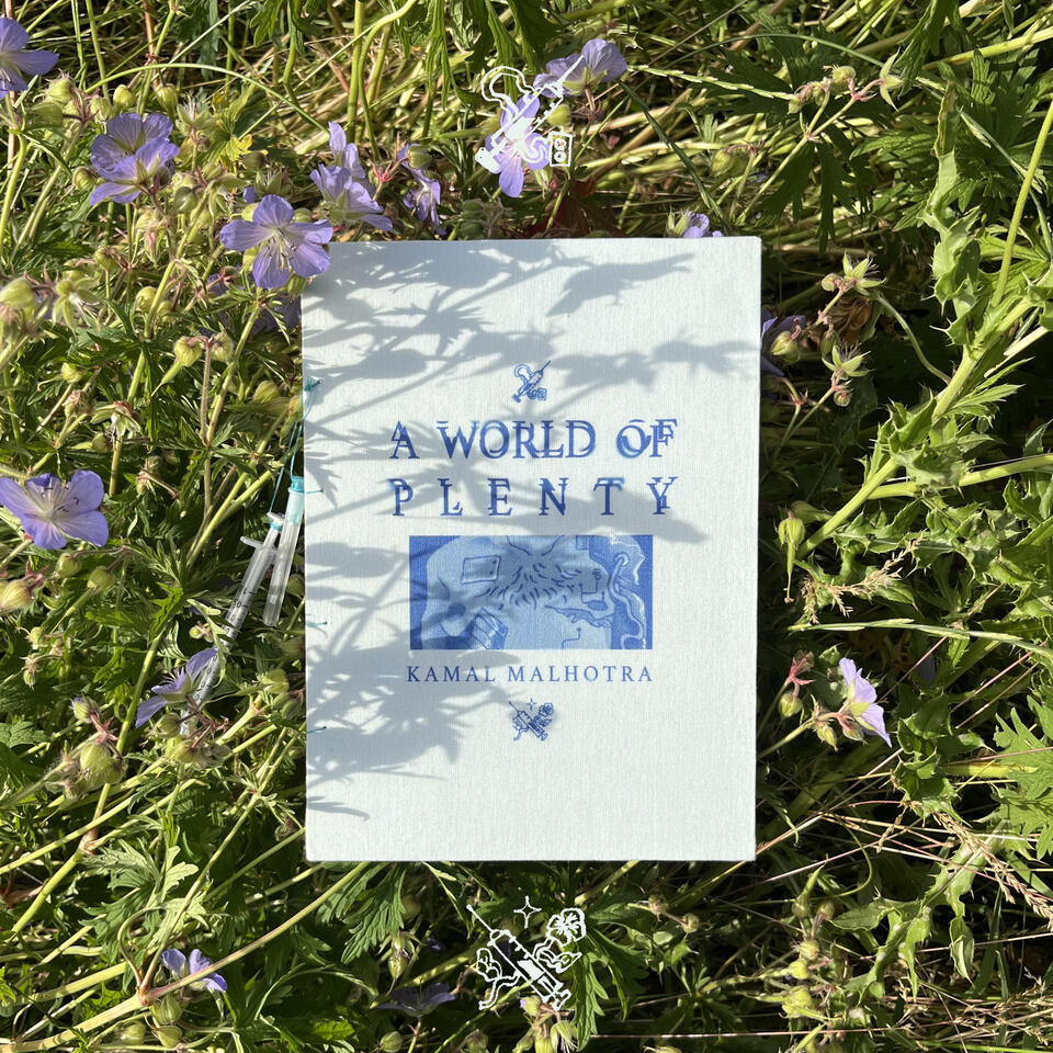 &#39;A World of Plenty&#39;, handbound and cyanotyped artist book, 2024